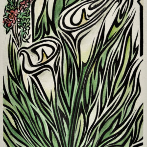 "Arums in Kelibia"